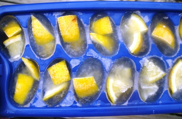 ice cube trays 008